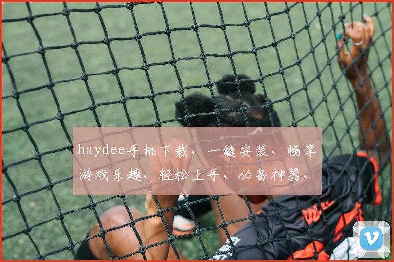 haydee手机下载，一键安装，畅享游戏乐趣，轻松上手，必备神器，三步完成