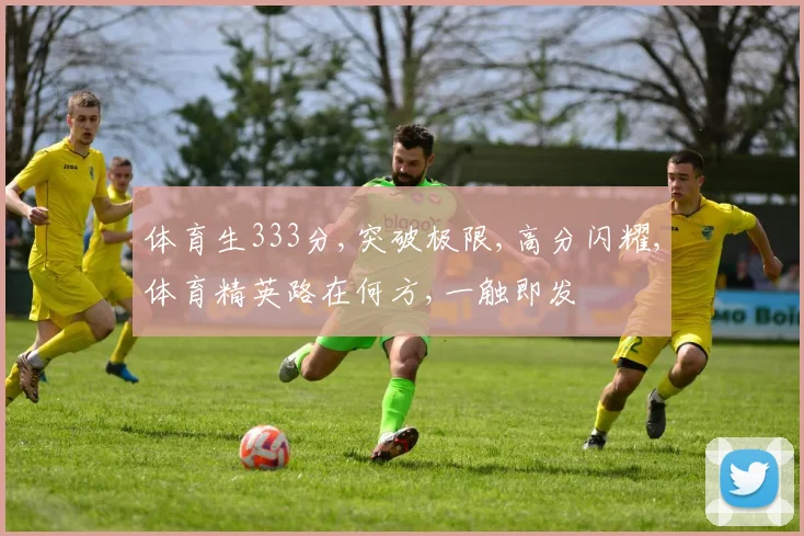 体育生333分,突破极限,高分闪耀,体育精英路在何方,一触即发