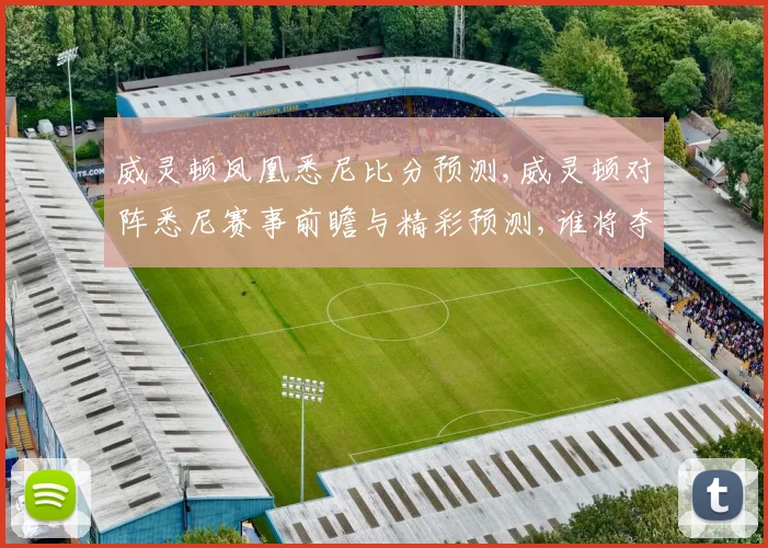 威灵顿凤凰悉尼比分预测,威灵顿对阵悉尼赛事前瞻与精彩预测,谁将夺冠